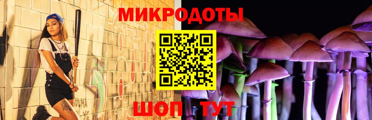 Сальск  Псилоцибиновые грибы GOLDEN TEACHER  Вход с VPN 